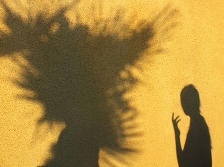 shadow girls and palms texture backgroundの写真素材