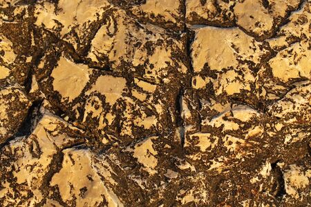 light rock with brown splash texture backgroundの写真素材