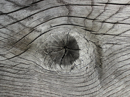 longitudinal cracked wood cut with knots for texture backgroundsの写真素材
