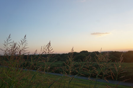 beautiful sky and clouds in the eveningの写真素材