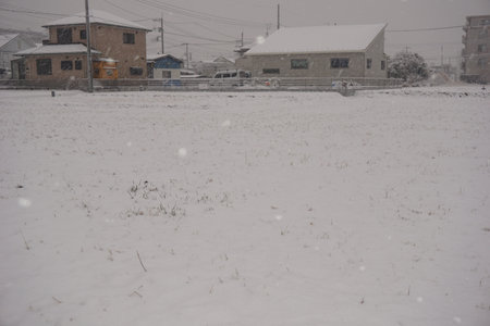 snowの写真素材