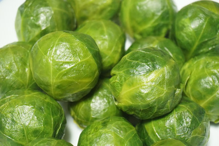 Brussels sproutsの写真素材