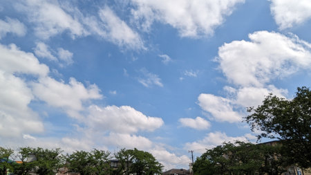 Sunny day sky, clouds and treesの写真素材