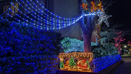 The gorgeous and beautiful Christmas illuminations in Japanの写真素材