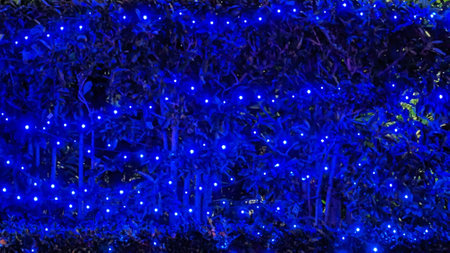 The gorgeous and beautiful Christmas illuminations in Japanの写真素材