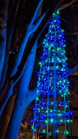 The gorgeous and beautiful Christmas illuminations in Japanの写真素材
