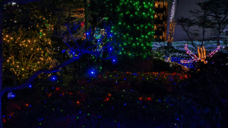 The gorgeous and beautiful Christmas illuminations in Japanの写真素材