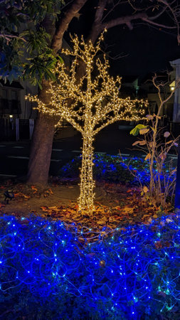 The gorgeous and beautiful Christmas illuminations in Japanの写真素材