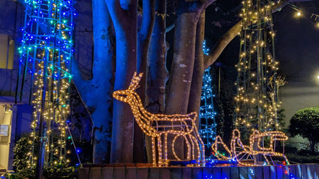 The gorgeous and beautiful Christmas illuminations in Japanの写真素材