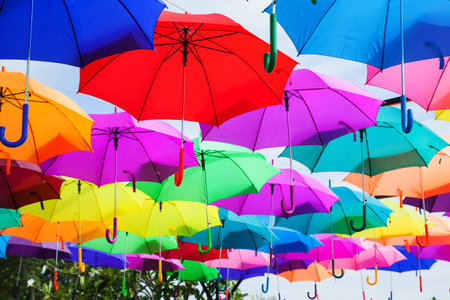 Colorful umbrellas arranged on top.の写真素材