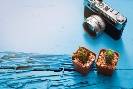 Cactus and odl camera on blue wood background