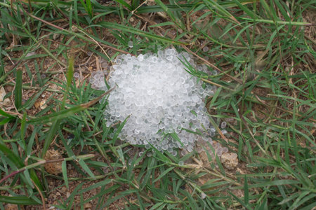 Desiccant silica gel on grass background