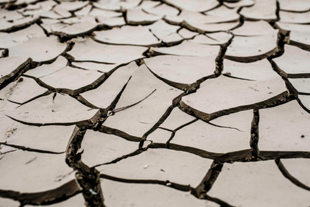 dry crack ground,の写真素材