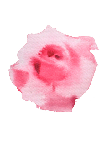 Pink rose watercolor .valentine Greeting Card.  Festive love postcard.watercolor painting,watercolour hand painted on white backgroundの写真素材