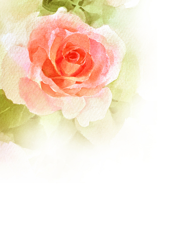 orange rose  watercolor hand-paintedの写真素材