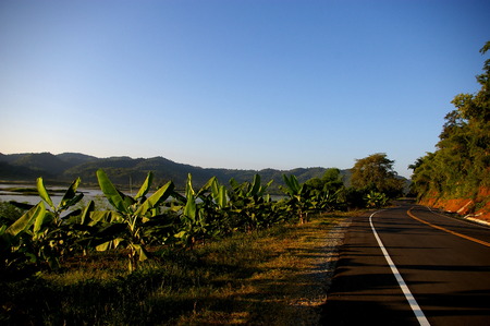 Beautiful countryside roadの写真素材