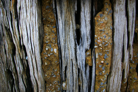 stone and wooden wallの写真素材