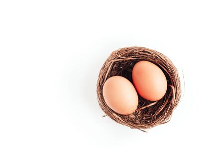 Two eggs in a nest on a white backgroundの写真素材