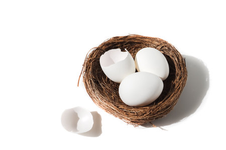 two chicken eggs and a shell in a nest isolated on a white background.