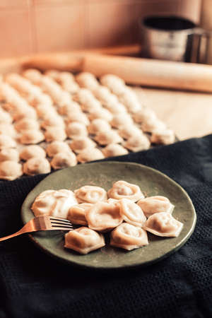 Homemade meat dumplings laying on plate, raw dumplings lie in a row in the backgroundの写真素材