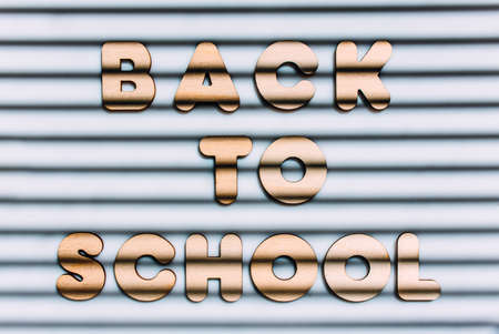 Inscription BACK TO SCHOOL of wooden letters. The concept of the importance of education. White background with horizontal shadows.の写真素材