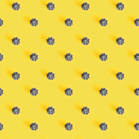 Top view of many echeveria succulents toned grey color on yellow, seamless backgroundの写真素材