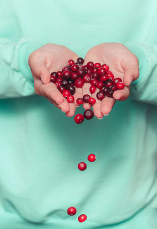 Woman holding cranberries in her hands, close upの写真素材