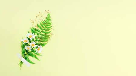 Nice little bouquet of rural chamomile flowers with fern on yellow background. Banner with copy space. Minimalistic designの写真素材