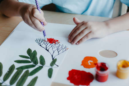 Close up of boy siting at desk and drawing rowanberries on album sheet with dry rowan leaves. Autumn activities for childrenの写真素材