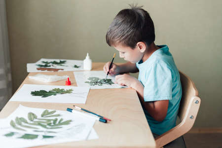 8 years old child sitting by desk and doing herbarium on album sheet. Autumn activities for childrenの写真素材
