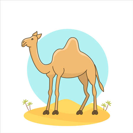 Cartoon Flat design Camel Illustration with desert backgroundのイラスト素材