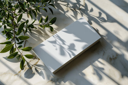 Blank card on marble table with plant and shadow top view angleの素材