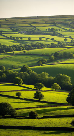 Beautiful landscape in the English countryside with green fields and meadowsの素材