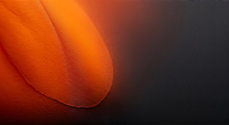 A detailed view of an orange leaf with a dark backgroundの素材