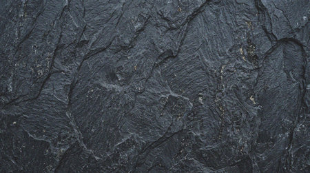 Dark, textured rock surface with intricate natural patterns and subtle color variations