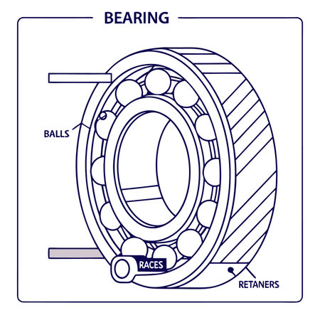 Bearing. Vector illustration. Isolated on a white background.のイラスト素材