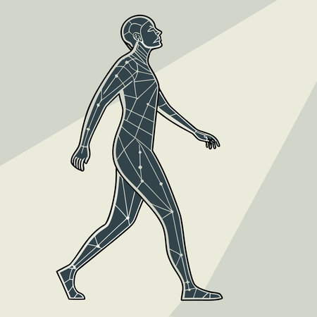 Human body structure. Polygonal figure of a man. Vector illustration.のイラスト素材