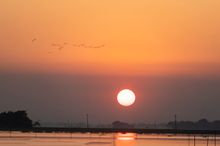 A sunset over calm water with reflections and silhouettes on the horizon In Netrokona, Bangladeshの写真素材