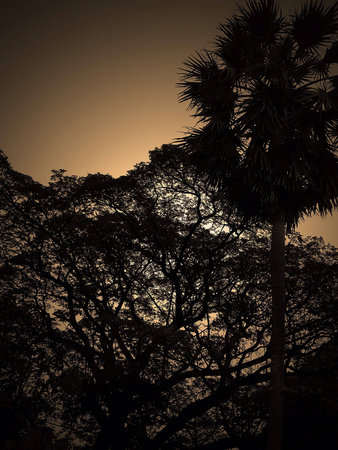 Light and shadowの素材