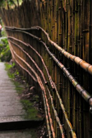 Bamboo fence wallの写真素材
