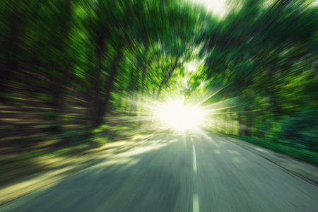 Speed on forest roadの写真素材