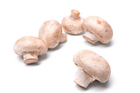 Fresh champignon mushrooms isolated on a white background