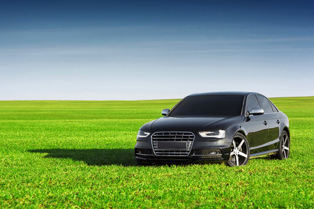 black sport car stay on the grass fieldのeditorial素材