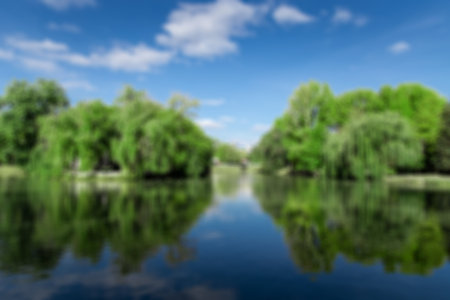 Summer tree reflection in water lake blurred background
