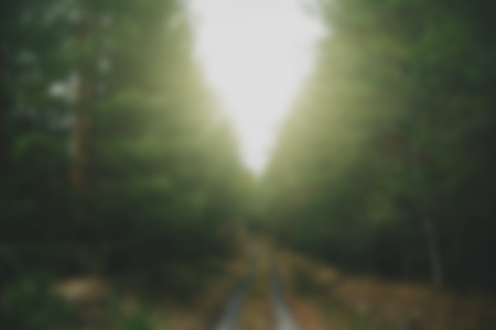Blurred forest road between high green pines treesの写真素材