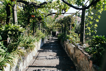 Old town of Herceg Novi at daytime, Montenegroの写真素材