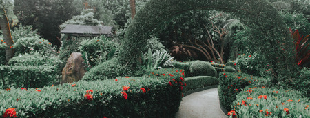 Tropical green garden at Maldives, vintage color film lookの写真素材