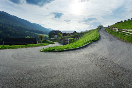 Beautiful green meadow at summer. Nature landscapeの写真素材