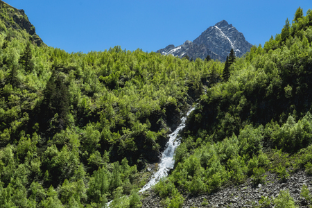 Beautiful nature landscape of mountains, fresh river and green forestの写真素材