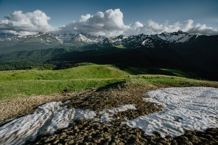 Beautiful nature landscape of mountains with snow and green forest